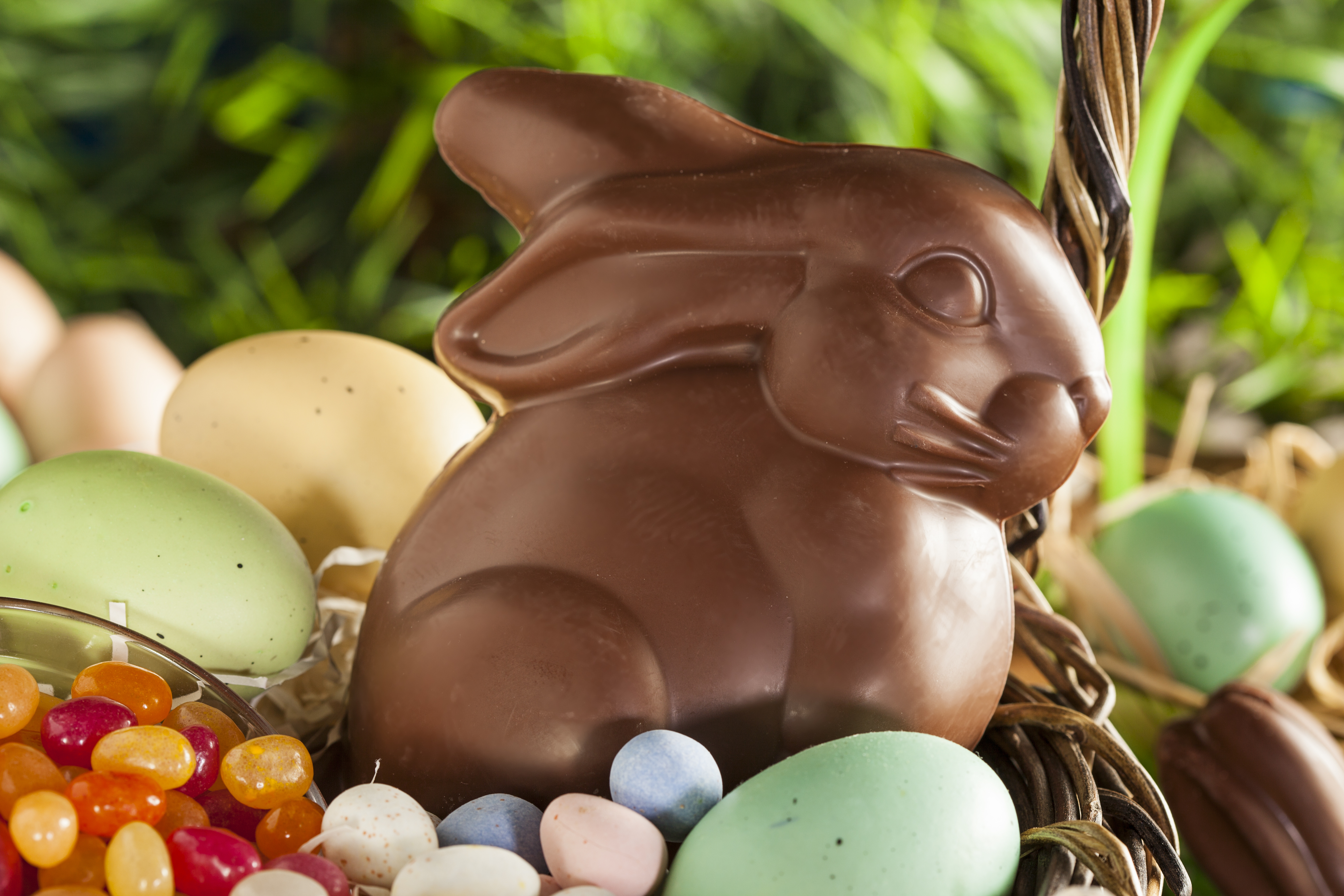 Lapin en chocolat Pâques