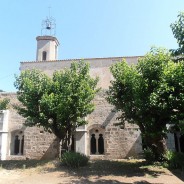 A la découverte des vins Coteaux Varois en Provence