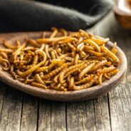 Les insectes comestibles : une tendance culinaire à découvrir