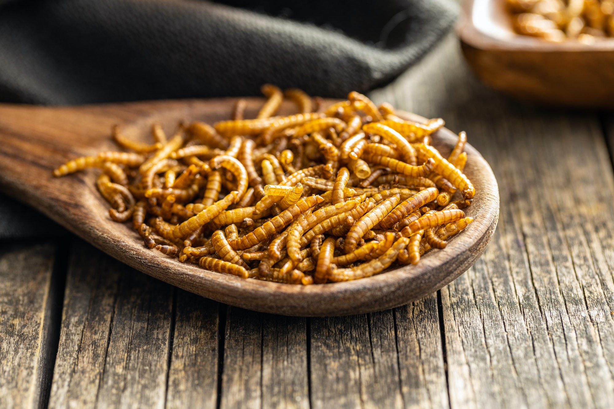 Osez l'originalité : les insectes comestibles à découvrir