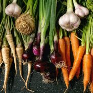Les légumes racines : comment les cuisiner avec originalité