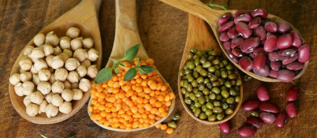 Les légumineuses sous toutes leurs formes pour une cuisine saine et riche en protéines