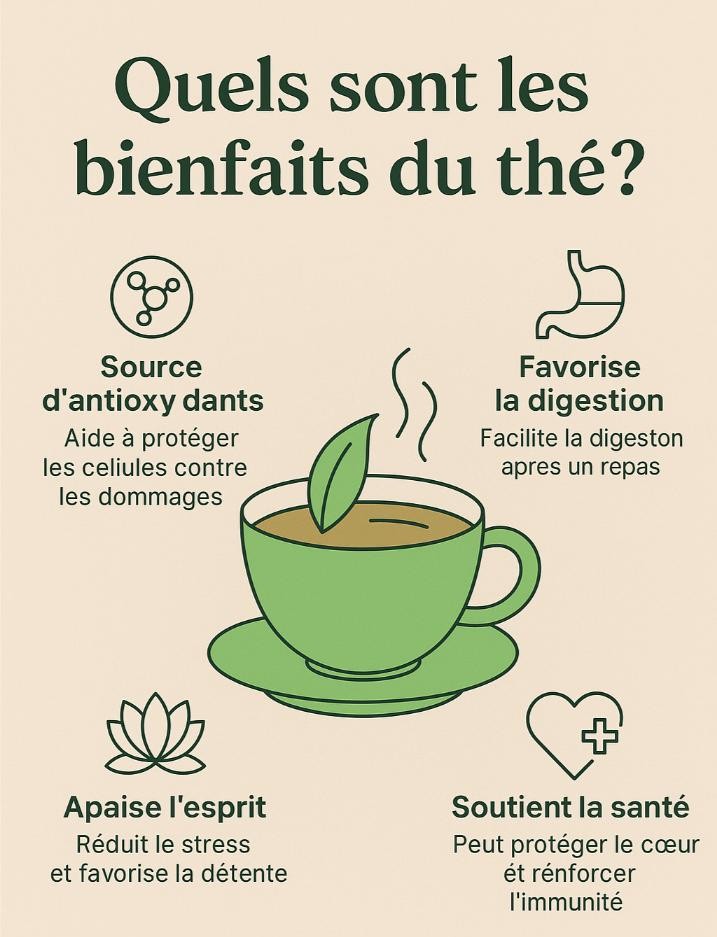 bienfait the